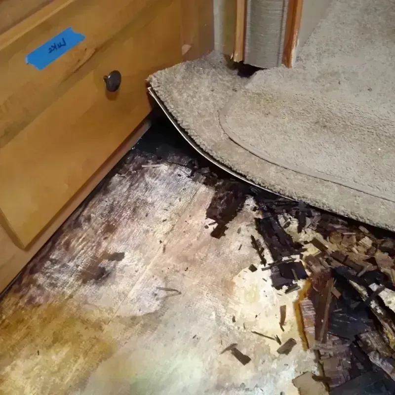 Wood Floor Water Damage in The Hammocks, FL